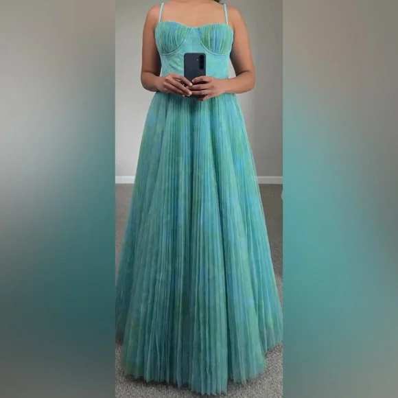 Hutch Amara Corset Pleated Tulle Dress